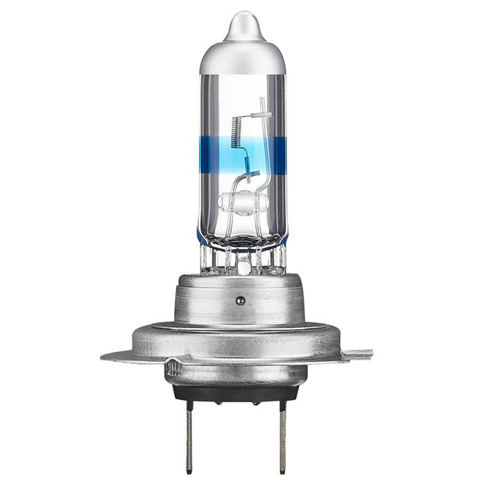 H7 Xenon 5000 Ring Globes