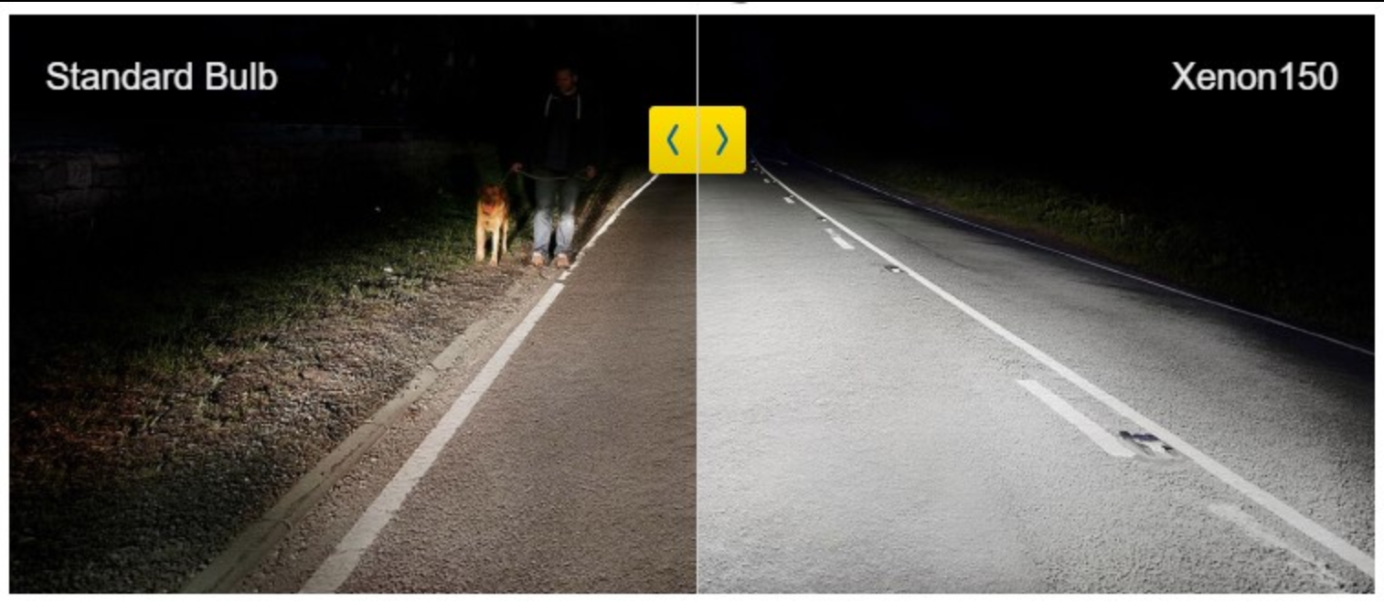 H11 Xenon 150 Ring Globes