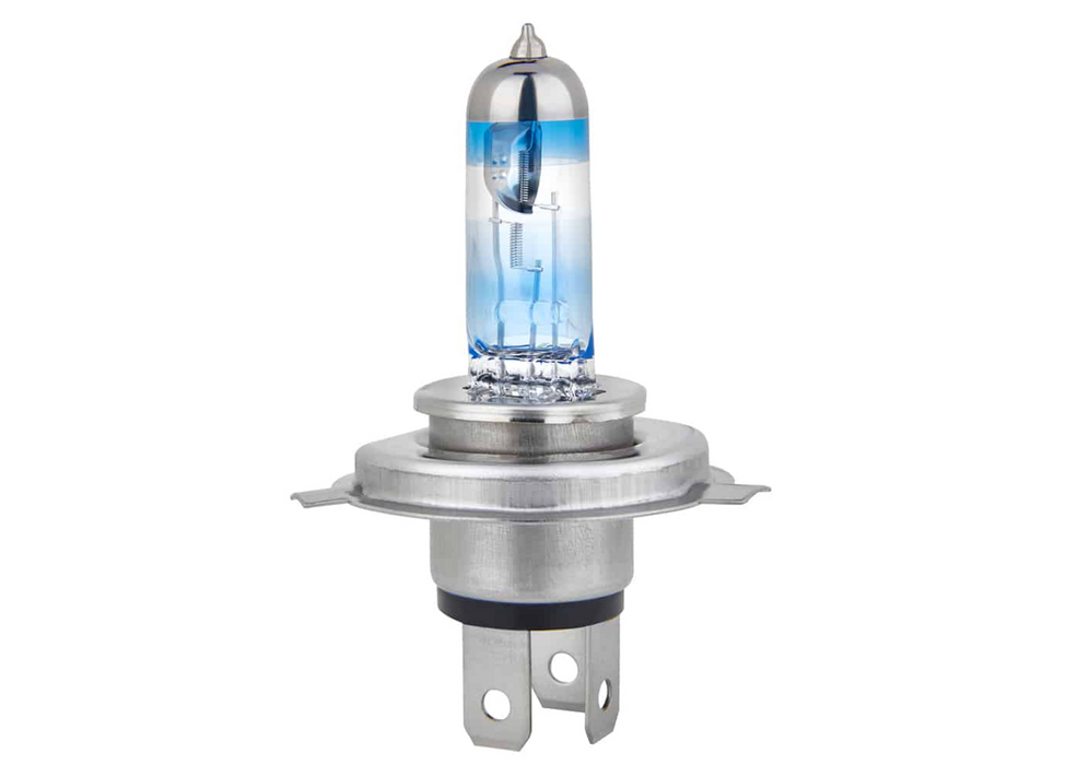 H4 Xenon200 Ring Globes