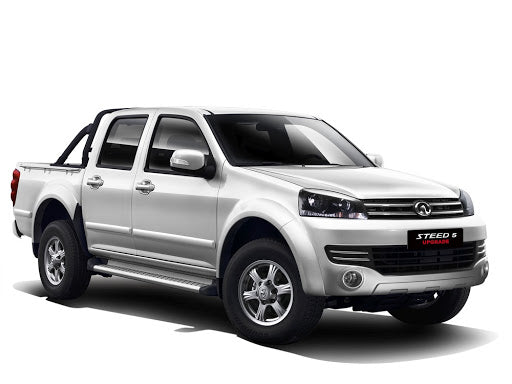 Gwm Steed 5