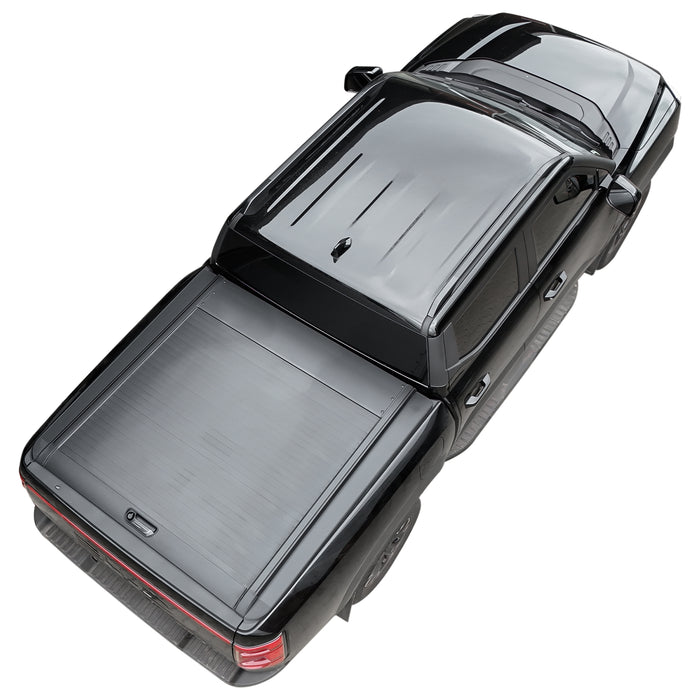 Byd-Shark-Rollerlids-6